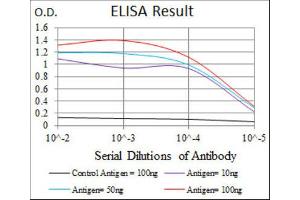 ELISA image for anti-Hexosaminidase A (HEXA) antibody (ABIN2970912) (Hexosaminidase A antibody)