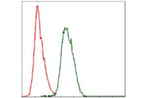 Flow Cytometry (FACS) image for anti-Coactosin-Like Protein antibody (ABIN1846261) (COTL1 antibody)