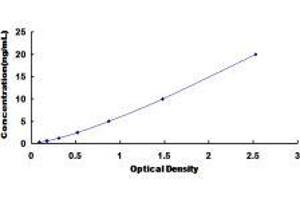 Dipeptidyl-Peptidase 8 (DPP8) ELISA Kit
