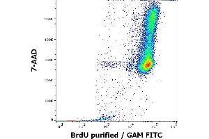 Flow cytometry multicolor intracellular staining pattern of BrdU incorporated K562 cellular suspension using anti-BrdU (Bu20a) purified antibody (concentration in sample 4 μg/mL, GAM FITC) and 7-AAD. (BrdU antibody)