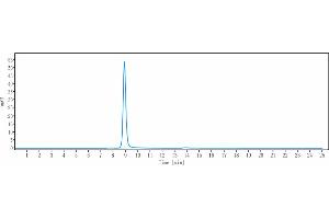 The purity of Anti-LAMP1 / CD107a Reference Antibody ( SAR428926) is 100 % , determined by SEC-HPLC. (Recombinant LAMP1 antibody)