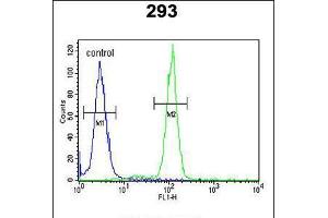 Flow cytometric analysis of 293 cells (right histogram) compared to a negative control cell (left histogram). (OST alpha antibody  (C-Term))