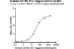 ELISA plate pre-coated by 2 μg/mL (100 μL/well) Human DNAM-1, mFc-His tagged protein (ABIN6961117) can bind Human CD155, hFc Tagged protein(ABIN6961168) in a linear range of 0. (Poliovirus Receptor Protein (PVR) (Fc Tag))