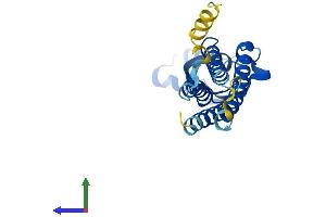 AlphaFold protein structure predicition of Mouse Recombinant Clrn1 Protein, UniprotID Q8K445 (Clarin 1 Protein (CLRN1) (AA 1-232) (His tag))