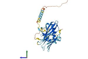AlphaFold protein structure predicition of Human Recombinant PIH1D1 Protein, UniprotID Q9NWS0 (PIH1D1 Protein (AA 1-290) (His tag))
