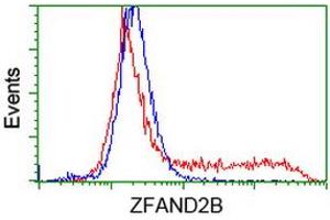 HEK293T cells transfected with either RC203822 overexpress plasmid (Red) or empty vector control plasmid (Blue) were immunostained by anti-ZFAND2B antibody (ABIN2454295), and then analyzed by flow cytometry. (ZFAND2B antibody)