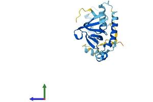 Protein Structure (PS) image for Processing of Precursor 4, Ribonuclease P/MRP Subunit (POP4) (AA 1-221) protein (His tag) (ABIN7560597)