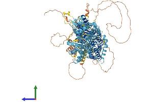 AlphaFold protein structure predicition of Mouse Recombinant Slc4a10 Protein, UniprotID Q5DTL9 (SLC4A10 Protein (AA 1-1118) (His tag))