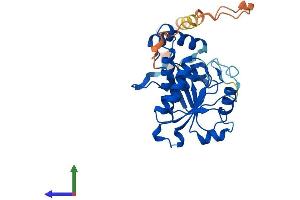 Protein Structure (PS) image for YjeF N-Terminal Domain Containing 3 (YJEFN3) (AA 1-299) protein (His tag) (ABIN7545215)