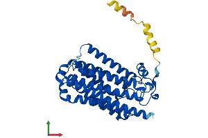 AlphaFold protein structure predicition of Mouse Recombinant Paqr8 Protein, UniprotID Q80ZE5