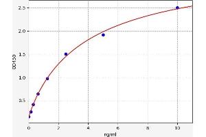 Coronin 1a ELISA Kit