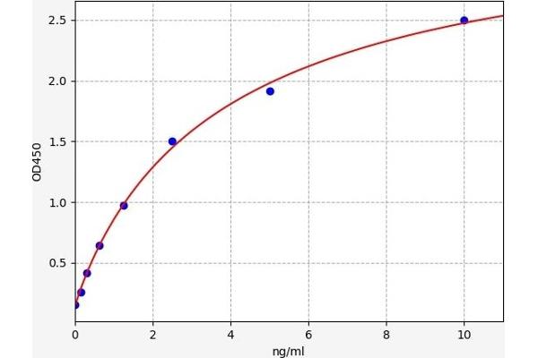 Coronin 1a ELISA Kit