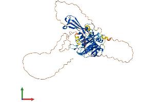 AlphaFold protein structure predicition of Human Recombinant USP17L13 Protein, UniprotID C9JLJ4 (USP17L13 Protein (AA 1-530) (His tag))