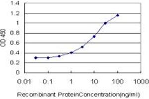 Detection limit for recombinant GST tagged FOXO3A is approximately 0. (FOXO3 antibody  (AA 361-460))
