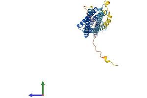 AlphaFold protein structure predicition of Mouse Recombinant Stx4 Protein, UniprotID P70452