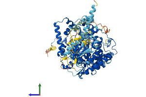 AlphaFold protein structure predicition of Human Recombinant CMTR2 Protein, UniprotID Q8IYT2 (CMTR2 Protein (AA 1-770) (His tag))