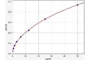 PTPRF ELISA Kit