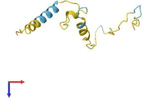 Chromosome 1 Open Reading Frame 227 (C1ORF227) (AA 1-97) protein (His tag)