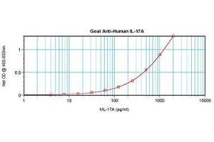 Image no. 2 for anti-Interleukin 17A (IL17A) antibody (ABIN465127) (Interleukin 17a antibody)