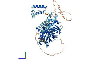 AlphaFold protein structure predicition of Human Recombinant AK5 Protein, UniprotID Q9Y6K8