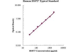 Heat Shock 27kDa Protein 1 (HSPB1) ELISA Kit