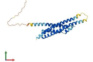 AlphaFold protein structure predicition of Mouse Recombinant Ms4a6c Protein, UniprotID Q99N08 (Ms4a6c Protein (AA 1-217) (His tag))