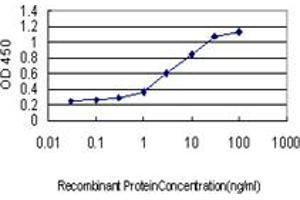 Detection limit for recombinant GST tagged SPP1 is approximately 0. (Osteopontin antibody  (AA 148-257))