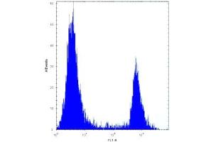 ANGPTL7 antibody flow cytometric analysis of 293 cells (right histogram) compared to a negative control (left histogram).