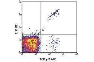Flow Cytometry (FACS) image for anti-TCR V Gamma1.1/Cr4 antibody (PE) (ABIN2662880) (TCR V Gamma1.1/Cr4 antibody (PE))