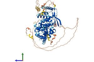 AlphaFold protein structure predicition of Mouse Recombinant Tcf25 Protein, UniprotID Q8R3L2