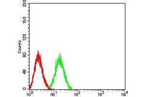 Flow cytometric analysis of HL-60 cells using CD307B mouse mAb (green) and negative control (red). (FCRL2 antibody  (AA 20-253))