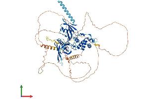 AlphaFold protein structure predicition of Mouse Recombinant Epb41l5 Protein, UniprotID Q8BGS1