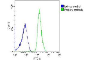 Overlay histogram showing U-2OS cells stained with Antibody (green line). (HRPT2 antibody  (AA 132-161))