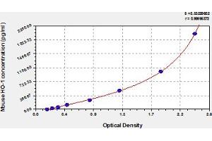 Heme Oxygenase (Decycling) 1 (HMOX1) ELISA Kit