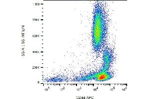 Flow cytometry analysis (surface staining) of human peripheral blood using anti-CD44 (MEM-263) APC conjugate. (CD44 antibody  (APC))