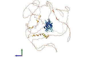 Protein Structure (PS) image for RNA Binding Motif Protein 14 (RBM14) (AA 1-669) protein (His tag) (ABIN7551214)