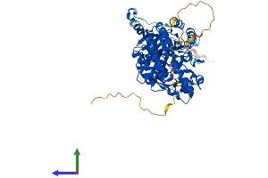 AlphaFold protein structure predicition of Mouse Recombinant Dpysl4 Protein, UniprotID O35098