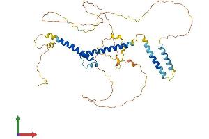 AlphaFold protein structure predicition of Human Recombinant BHLHE40 Protein, UniprotID O14503