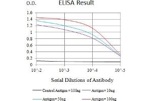 Black line: Control Antigen (100 ng),Purple line: Antigen (10 ng), Blue line: Antigen (50 ng), Red line:Antigen (100 ng) (LAMP3 antibody  (AA 218-381))