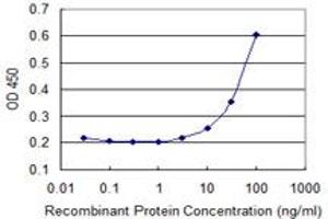 Detection limit for recombinant GST tagged KRAS is 3 ng/ml as a capture antibody. (K-RAS antibody  (AA 1-188))