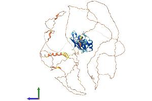Protein Structure (PS) image for RNA Binding Motif Protein 14 (RBM14) (AA 1-669) protein (His tag) (ABIN7559117)