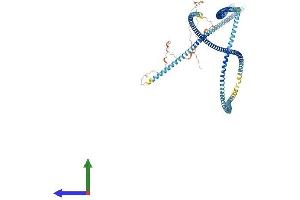 AlphaFold protein structure predicition of Mouse Recombinant Odf2 Protein, UniprotID A3KGV1