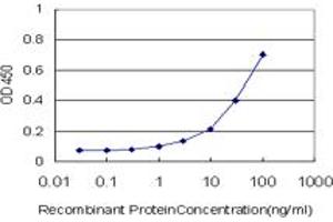 Detection limit for recombinant GST tagged RPS7 is approximately 1ng/ml as a capture antibody. (RPS7 antibody  (AA 95-194))