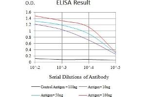 Black line: Control Antigen (100 ng),Purple line: Antigen (10 ng), Blue line: Antigen (50 ng), Red line:Antigen (100 ng) (NKp44/NCR2 antibody  (AA 22-192))