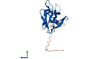 AlphaFold protein structure predicition of Human Recombinant ASAH2B Protein, UniprotID P0C7U1 (ASA2B Protein (AA 1-165) (His tag))