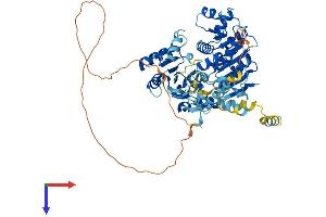 AlphaFold protein structure predicition of Human Recombinant DDX59 Protein, UniprotID Q5T1V6 (DDX59 Protein (AA 1-619) (His tag))