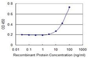 Detection limit for recombinant GST tagged CSNK1G2 is 3 ng/ml as a capture antibody. (Casein Kinase 1 gamma 2 antibody  (AA 1-415))