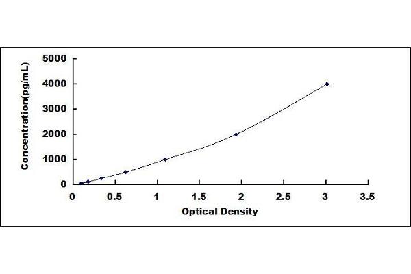 C1QTNF9 ELISA Kit