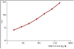 Calibration curve for Influenza B sandwich fluoroimmunoassay using anti NP antibodies.