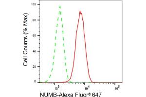 Flow cytometric analysis of NUMB expression in HepG2 cells using NUMB antibody (ABIN7799693), 1:2,000). (Recombinant NUMB antibody)